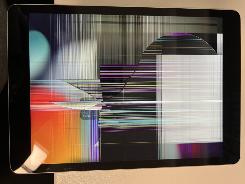 iPad LCD Schaden